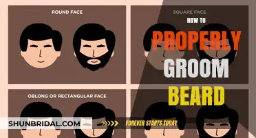 Mastering the Art of Beard Grooming: A Comprehensive Guide
