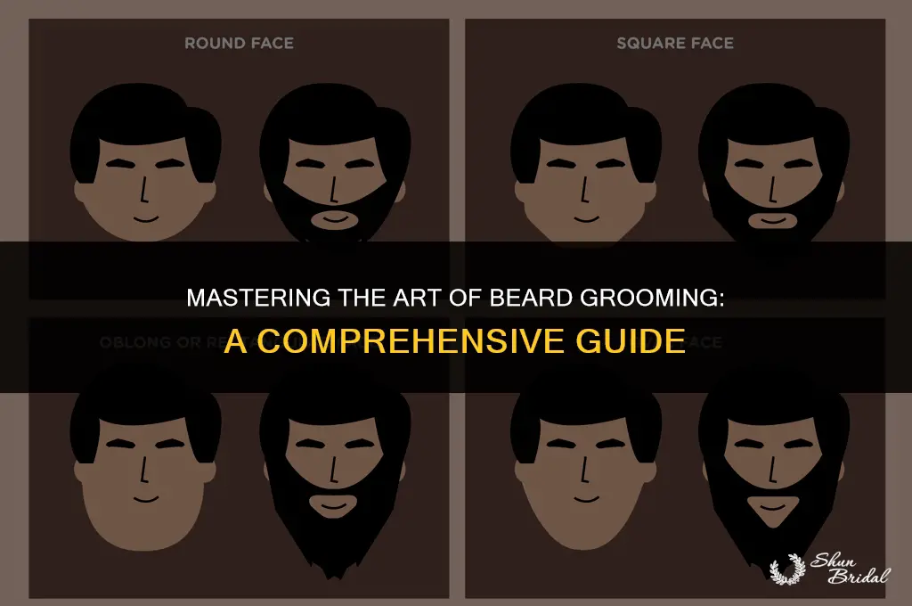 how to properly groom beard