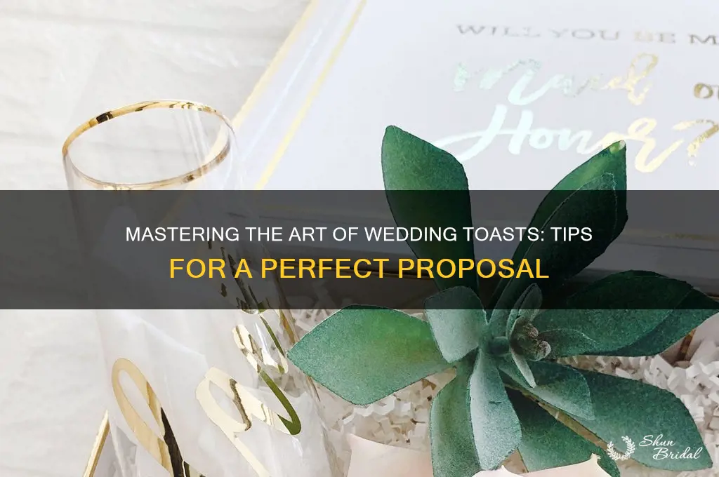 how to propose a toast at a wedding ceremony