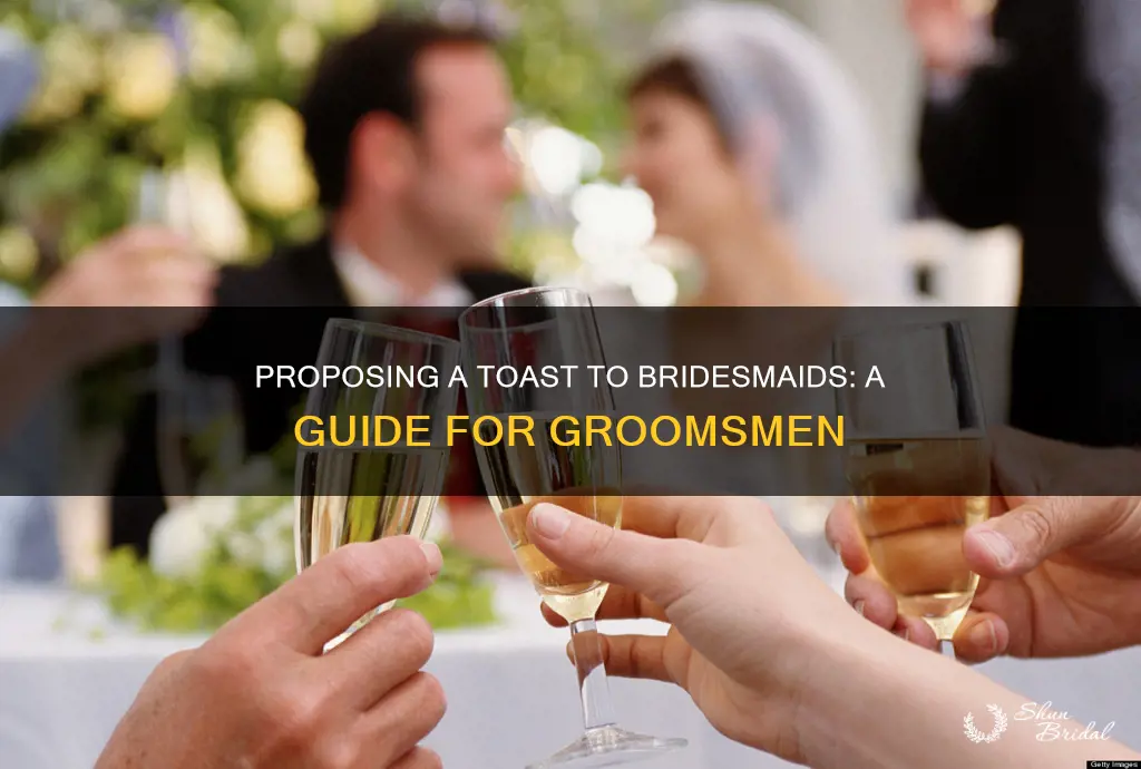 how to propose a toast to bridesmaids