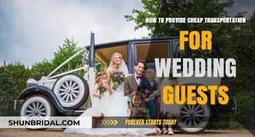 Affordable Wedding Guest Transport: Creative Solutions for a Budget-Friendly Celebration