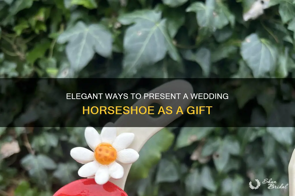 how to prsendt a wedding horseshoe