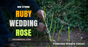 Pruning Ruby Wedding Roses: A Step-by-Step Guide for Healthy Growth