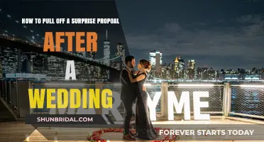 Post-Wedding Surprise Proposal: Creative Tips for a Memorable Second Yes
