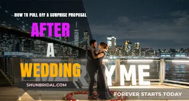 Post-Wedding Proposal Magic: Crafting a Surprise They’ll Never Forget