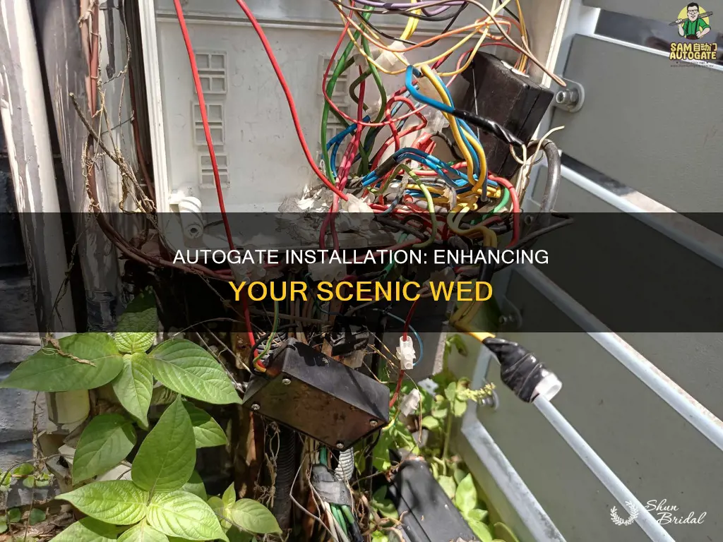 how to put autogate in your scenery wed
