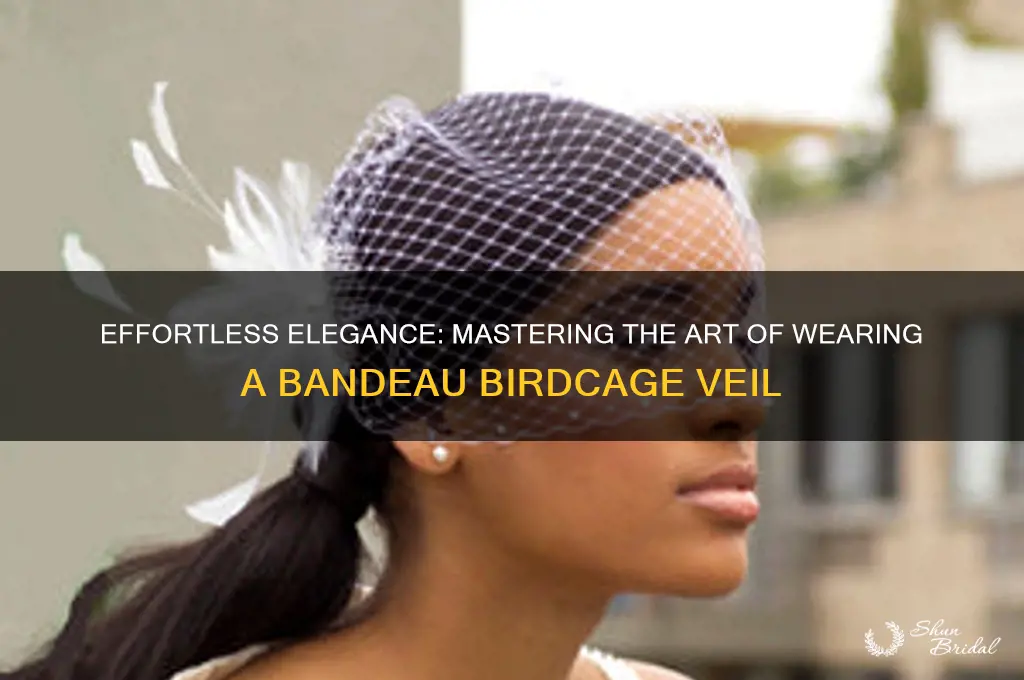 how to put on a bandeau birdcage veil