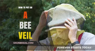 Mastering Bee Veil Wear: A Step-by-Step Guide for Beekeepers