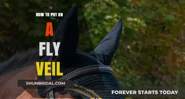 Mastering the Art of Putting on a Fly Veil for Horses