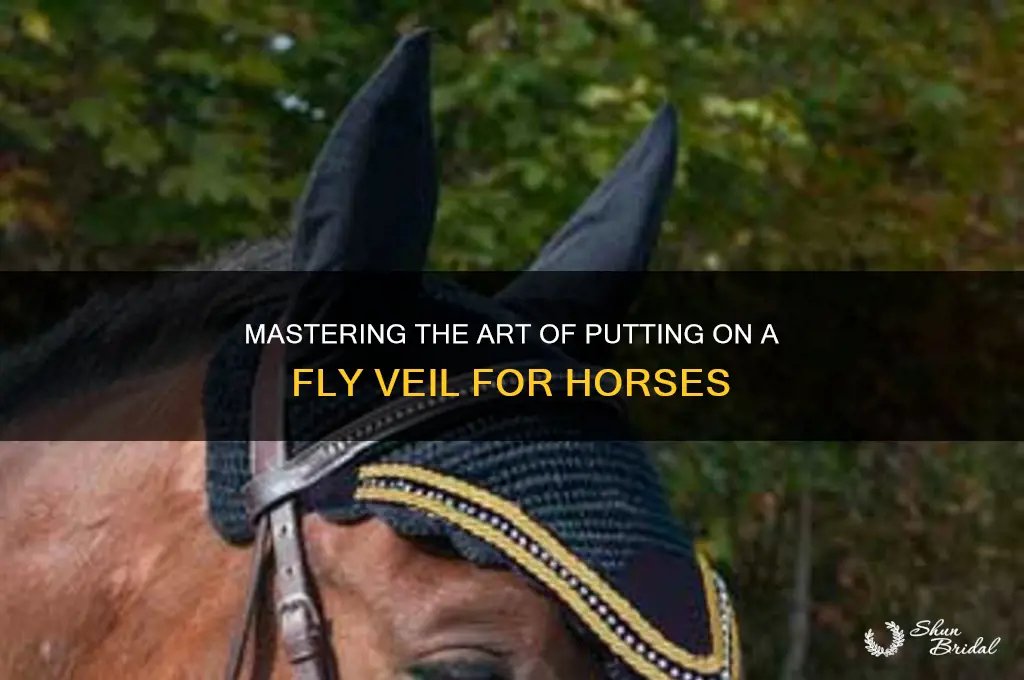 how to put on a fly veil