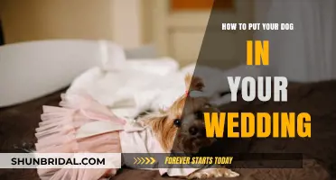 Involving Your Dog in Your Wedding Day