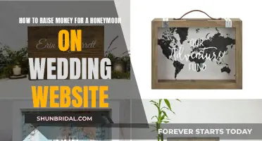 Honeymoon Fund Ideas: Creative Ways to Raise Money on Your Wedding Website