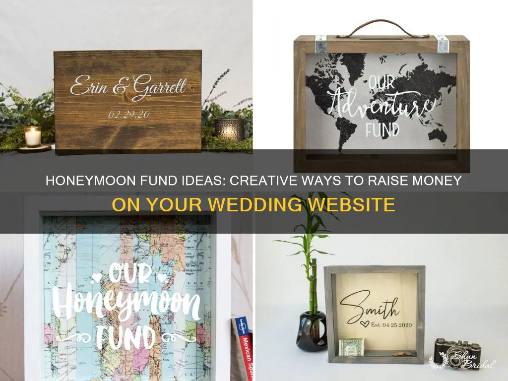 how to raise money for a honeymoon on wedding website