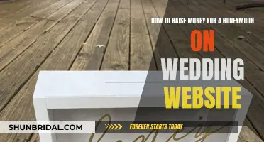 Funding Your Honeymoon: Wedding Website Money-Making Methods