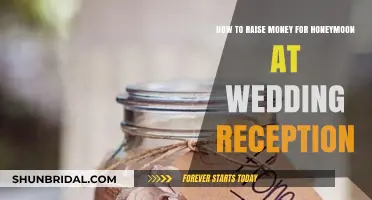 Honeymoon Fund: Creative Ways to Raise Money at Your Reception