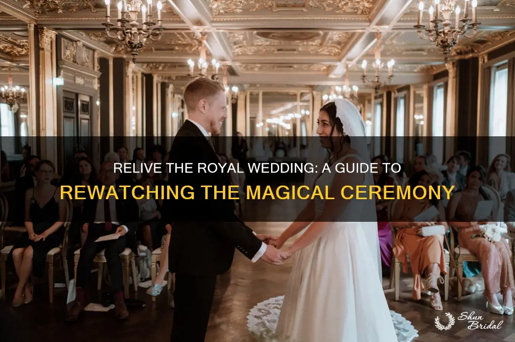 how to re watch the royal wedding
