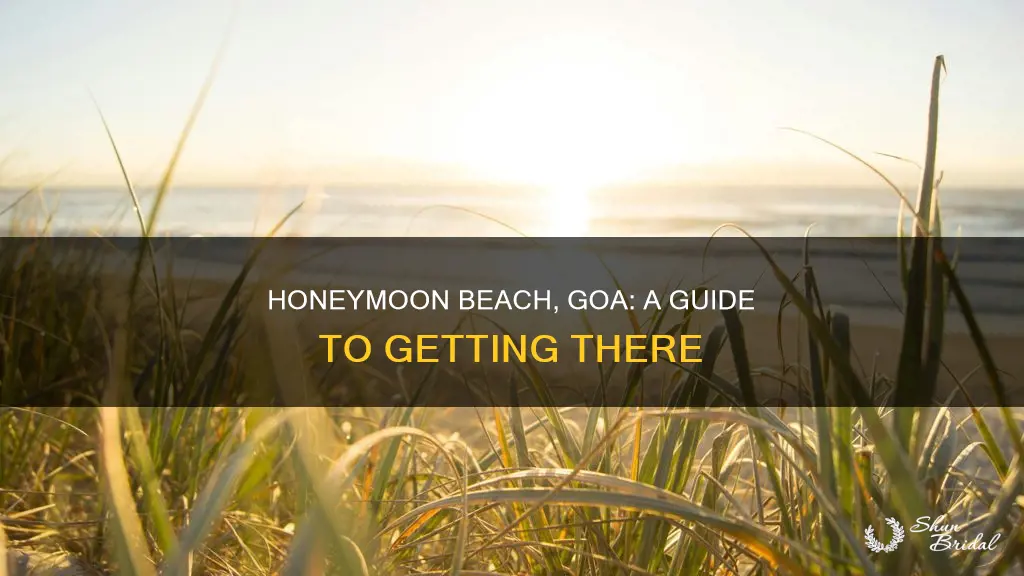 how to reach honeymoon beach goa