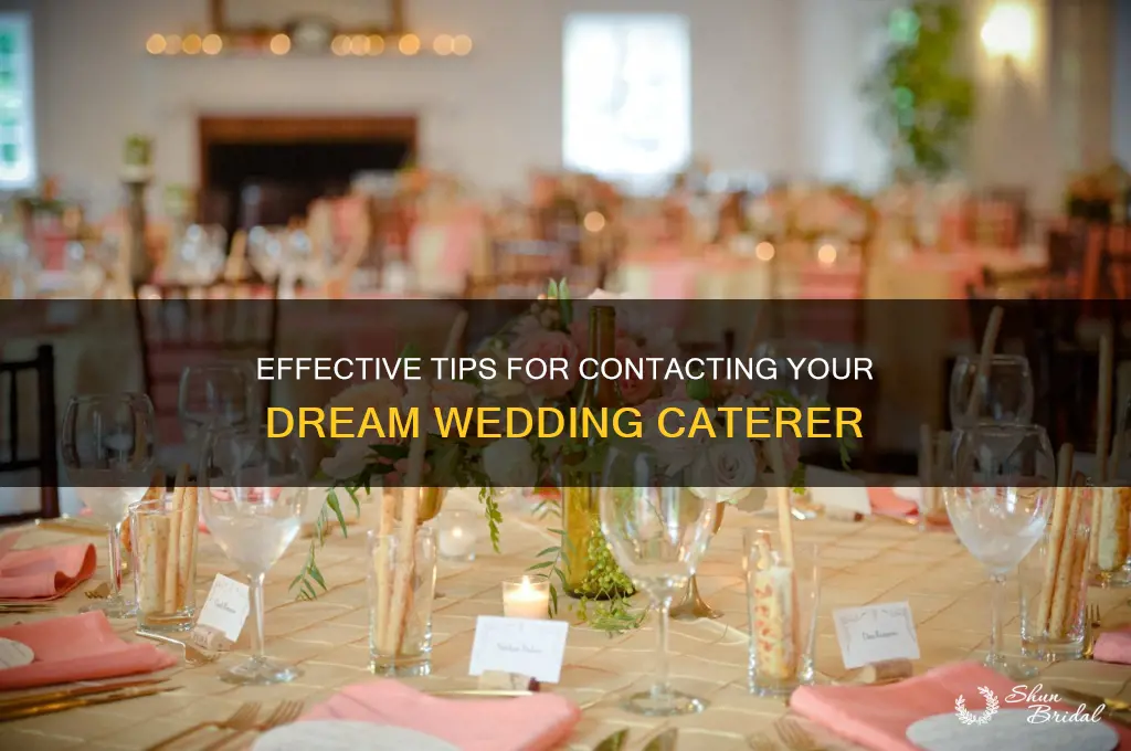 how to reach out to wedding caterer