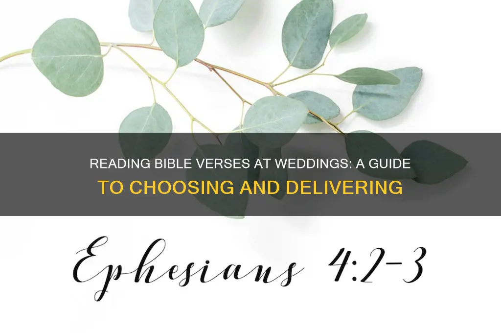 how to read a bible verse at wedding