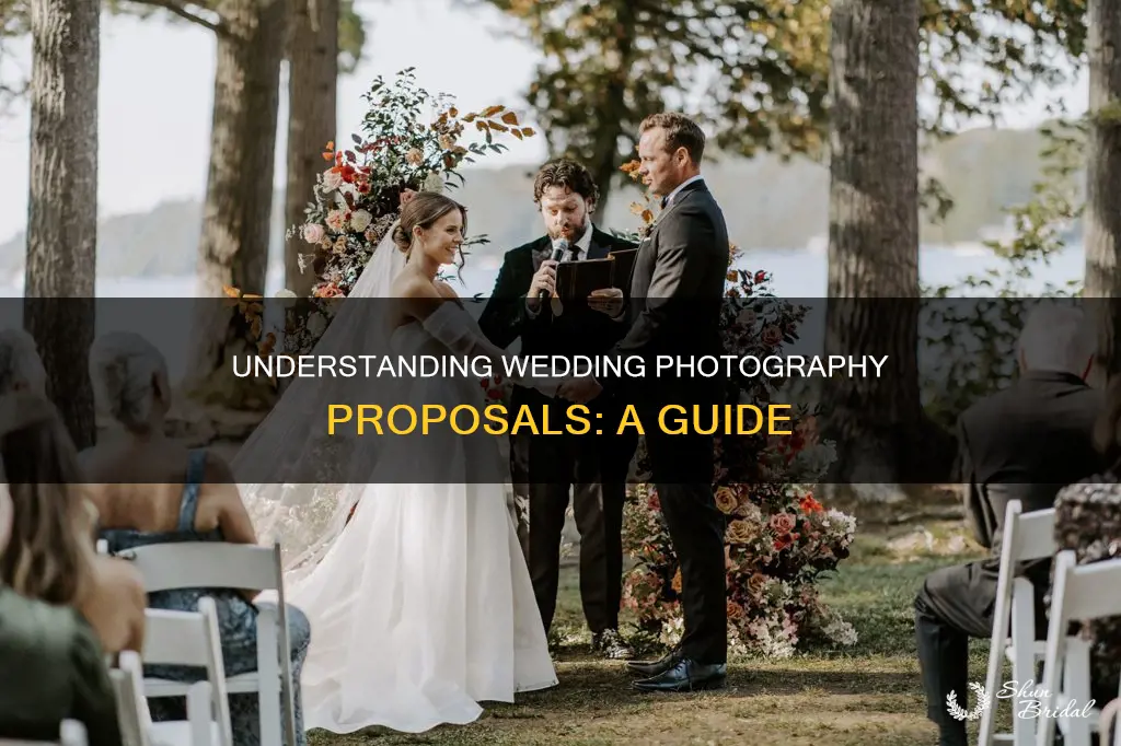 how to read a wedding photography proposal