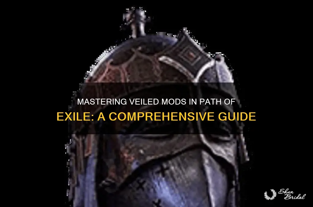how to read veiled mods poe
