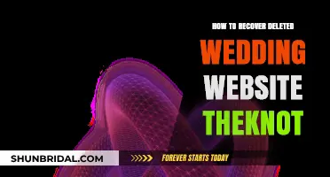 Recovering Your Deleted The Knot Wedding Website: A Step-by-Step Guide