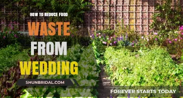 Sustainable Celebrations: Smart Tips to Minimize Wedding Food Waste