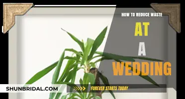 Eco-Friendly Wedding Tips: Reduce Waste and Celebrate Sustainably