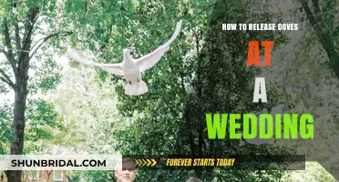 Elegant Dove Release: A Step-by-Step Guide for Your Wedding Day
