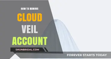 How to Delete Your Cloud Veil Account: A Step-by-Step Guide