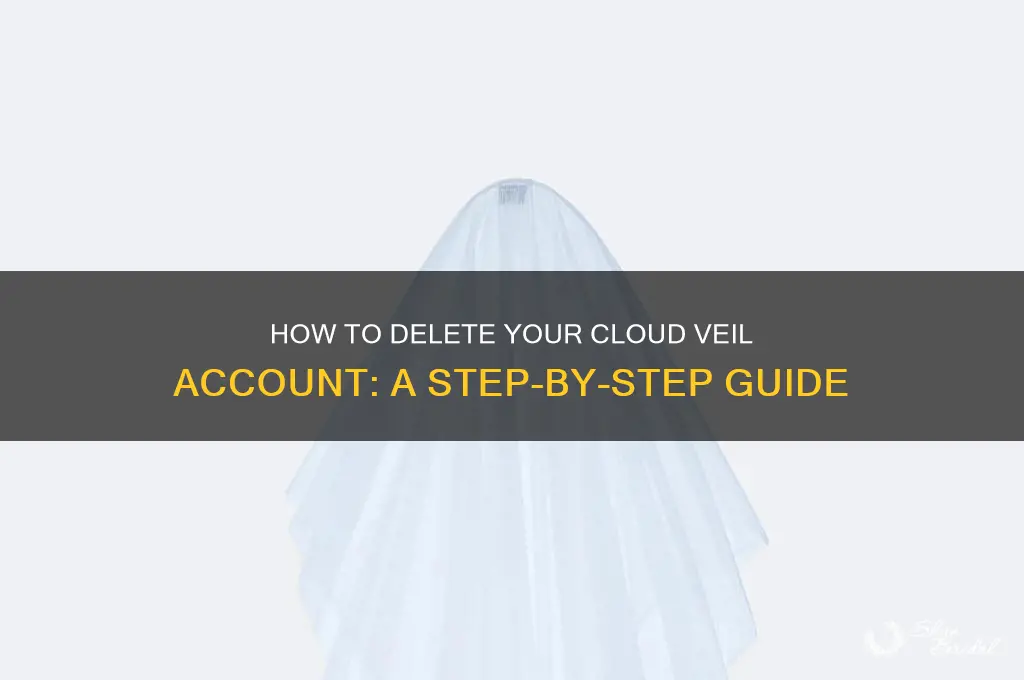 how to remove cloud veil account