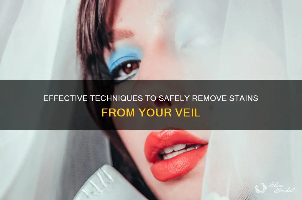how to remove from veil
