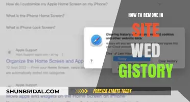 How to Clear Your Website Visit History: A Step-by-Step Guide
