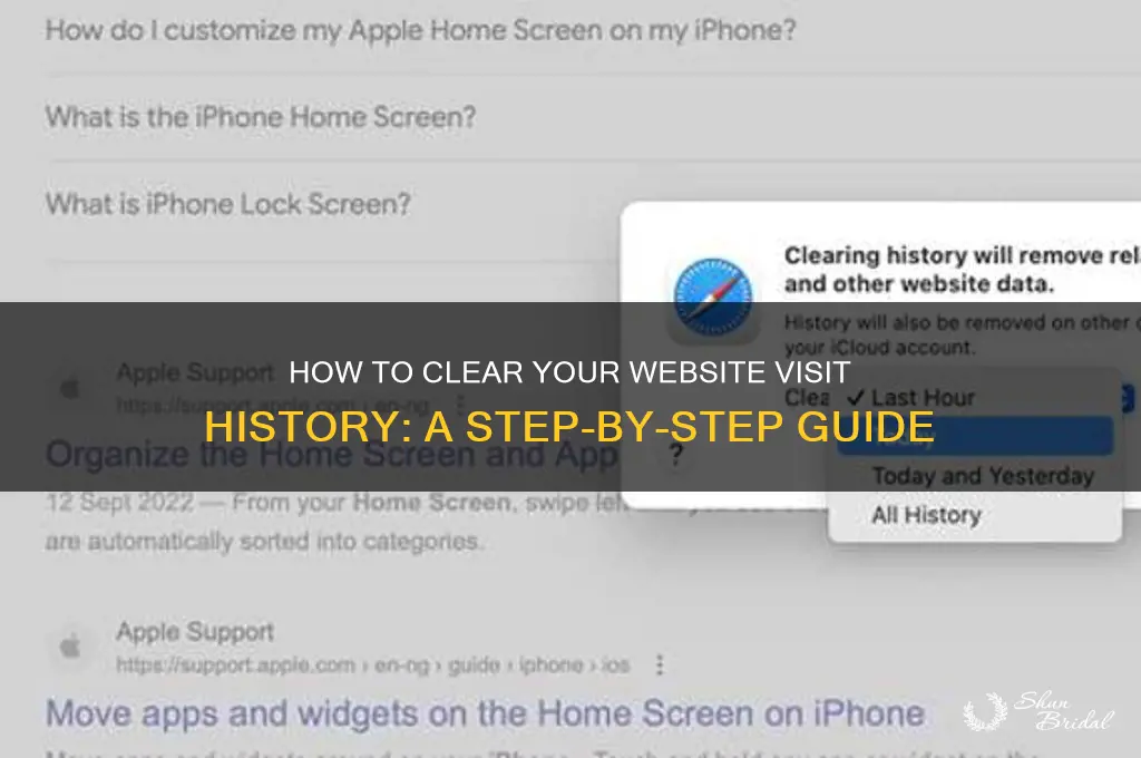 how to remove in site wed gistory
