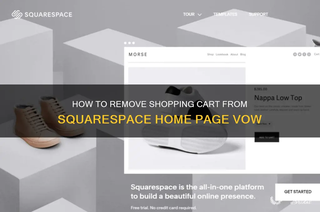 how to remove shopping cart from squarespace home page vow