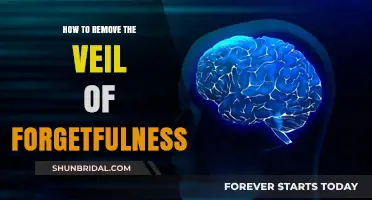 Unveiling Memories: Techniques to Lift the Veil of Forgetfulness