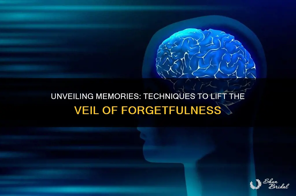 how to remove the veil of forgetfulness