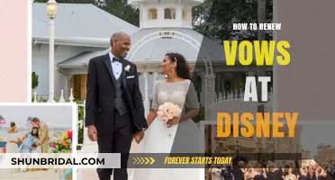 Renewing Vows at Disney: A Magical Guide to Your Fairy Tale Celebration