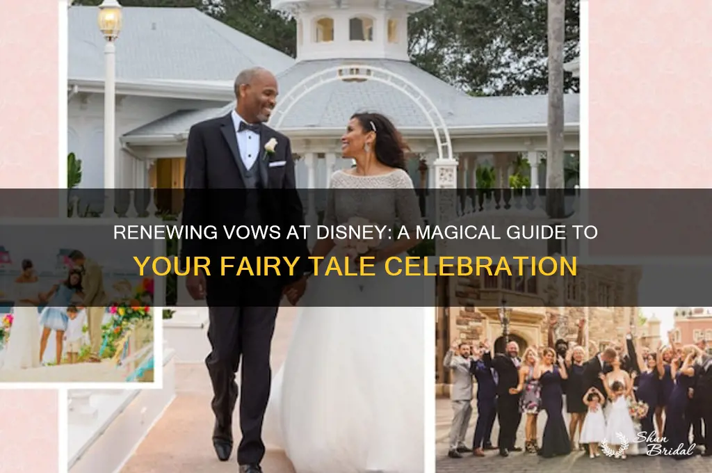 how to renew vows at disney