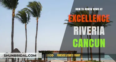 Renewing Vows at Excellence Riviera Cancun: A Romantic Guide