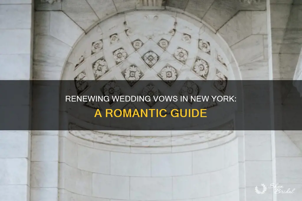 how to renew vows in new york