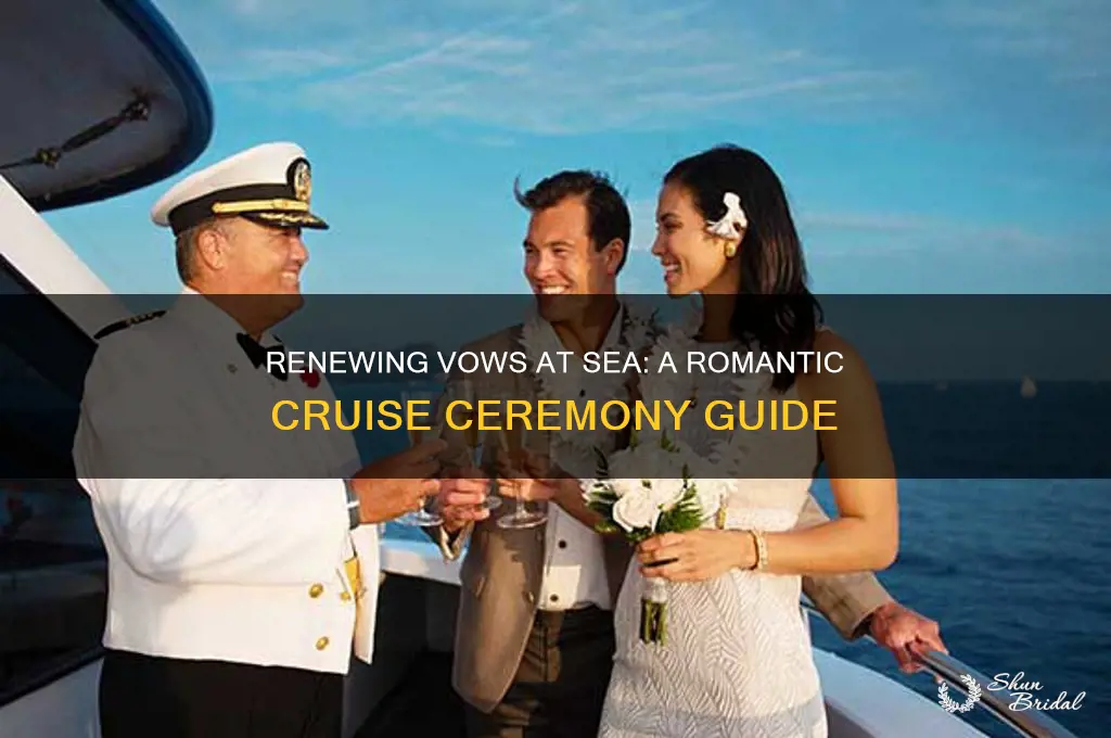 how to renew vows on a cruise