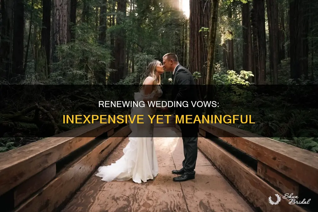 how to renew your wedding vows on a budget