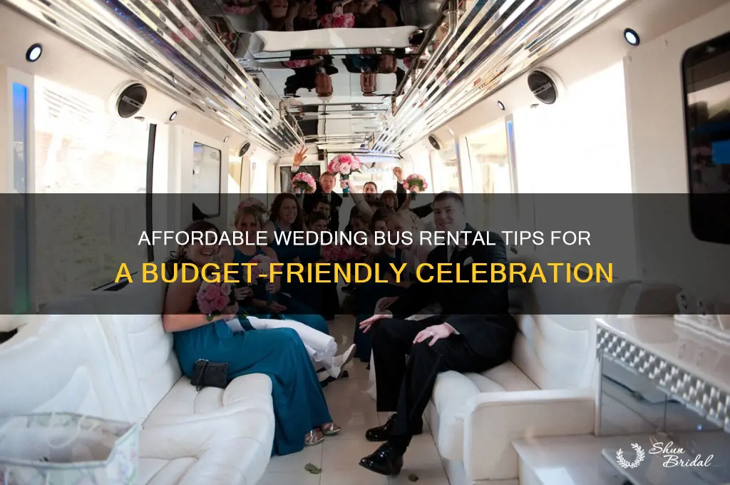 how to rent a bus for cheap wedding