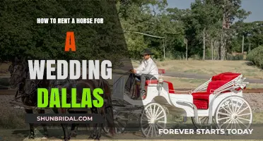 Renting a Horse for Your Dallas Wedding: A Unique Guide