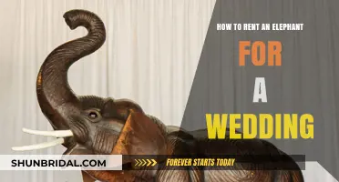 Unique Wedding Ideas: Renting an Elephant for Your Special Day