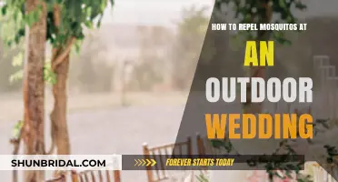 Buzz-Free Bliss: Effective Ways to Keep Mosquitos Away at Outdoor Weddings