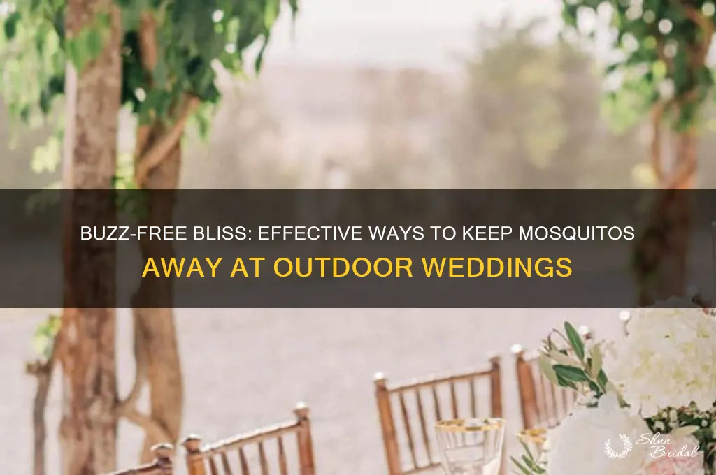 how to repel mosquitos at an outdoor wedding