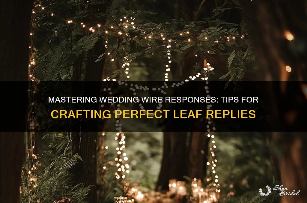 how to reply to wedding wire leafs