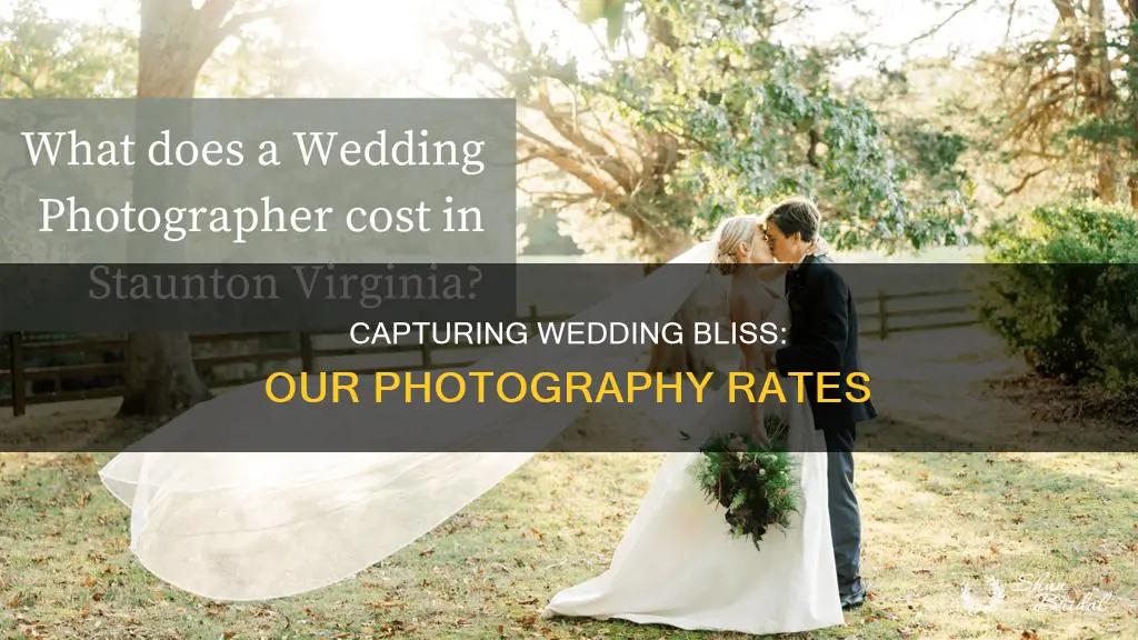 how to reply with rates for a wedding photographer